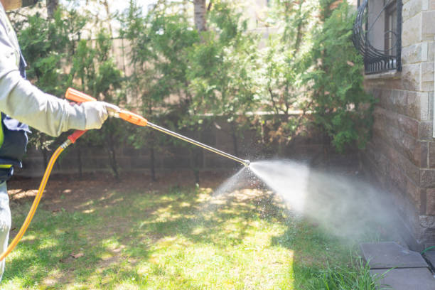 Best Organic or Eco-Friendly Pest Control  in Crooksville, OH